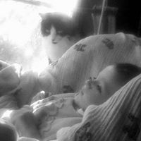 Carole Schuman Photo 9