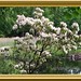 Joann Bloom Photo 8