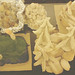 Michelle Wessel Photo 19