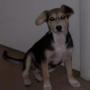 Jason Gorski Photo 15