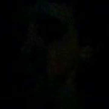 Harvey Barnes Photo 7