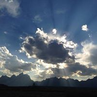 Julie Strawn Photo 22