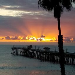 Amy Crandall Photo 39