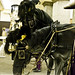 Domingo Gallardo Photo 18