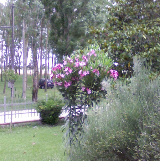 Antonio Biondi Photo 13