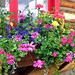 Edmond Box Photo 8
