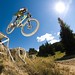 Eric Wolfe Photo 20