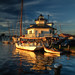 Michael Hooper Photo 27