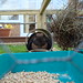 Jack Jacob Photo 37