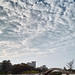 Chung Cheng Photo 20