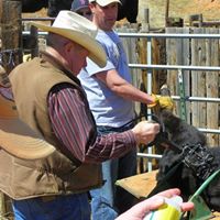 Dale Lyman Photo 3