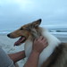 Gary Collie Photo 9