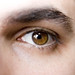 David Sin Photo 34