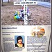 Susan Berry Photo 18