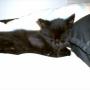 Deborah Gould Photo 23