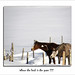Michelle Grass Photo 7