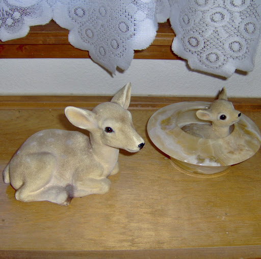 Gail Harrison Photo 32