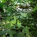 Elizabeth Wild Photo 12