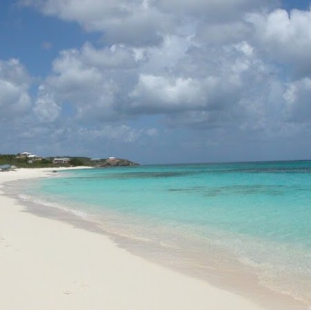 Ann Magill Photo 10
