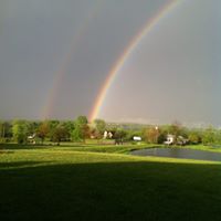 Cindy Reece Photo 10