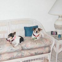 Leslie Pinder Photo 8