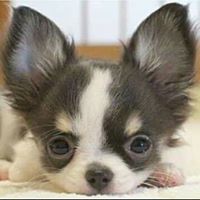 Bonnie Haynes Photo 7
