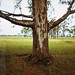 Elisa Bell Photo 21