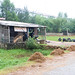 Tinh Ha Photo 7