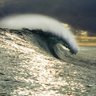 Justin Kane Photo 42