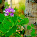 Diane Post Photo 20