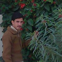 Asif Shehzad Photo 9