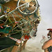 Matthew Schultz Photo 37
