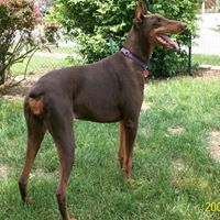 Nancy Worley Photo 37