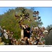Roland Caron Photo 12