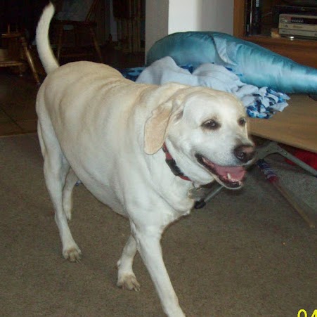 Joy Goolsby Photo 14