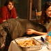 Kathryn Pace Photo 24