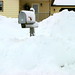 Alton Evans Photo 18