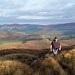 Glen Graham Photo 23