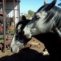 Robin Culp Photo 7