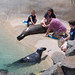Cole Seal Photo 9