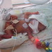 Joshua Heard Photo 13
