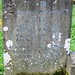 Joseph Taylor Photo 40