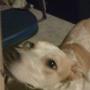 Barbara Busby Photo 5