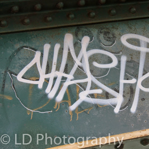 Lauren David Photo 37