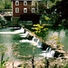 Roger Mills Photo 28