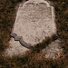 Robert Potts Photo 26