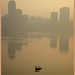 Misty Fisher Photo 19