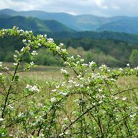 Teresa Creel Photo 21