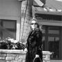 Pam Cartwright Photo 18