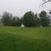 Michael Lint Photo 9